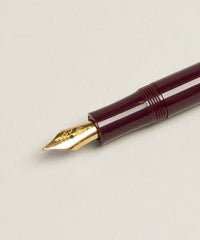 Sport Fountain Pen